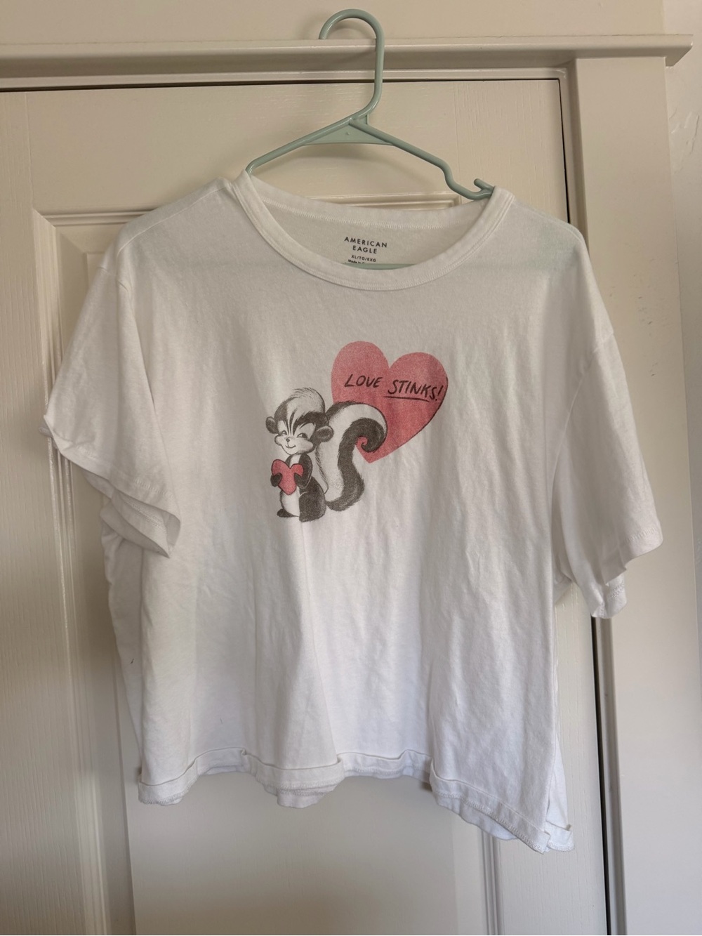 American Eagle Outfitters 'Love Stinks' Graphic Tee